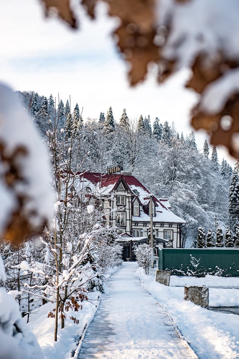 Золота Форель 1