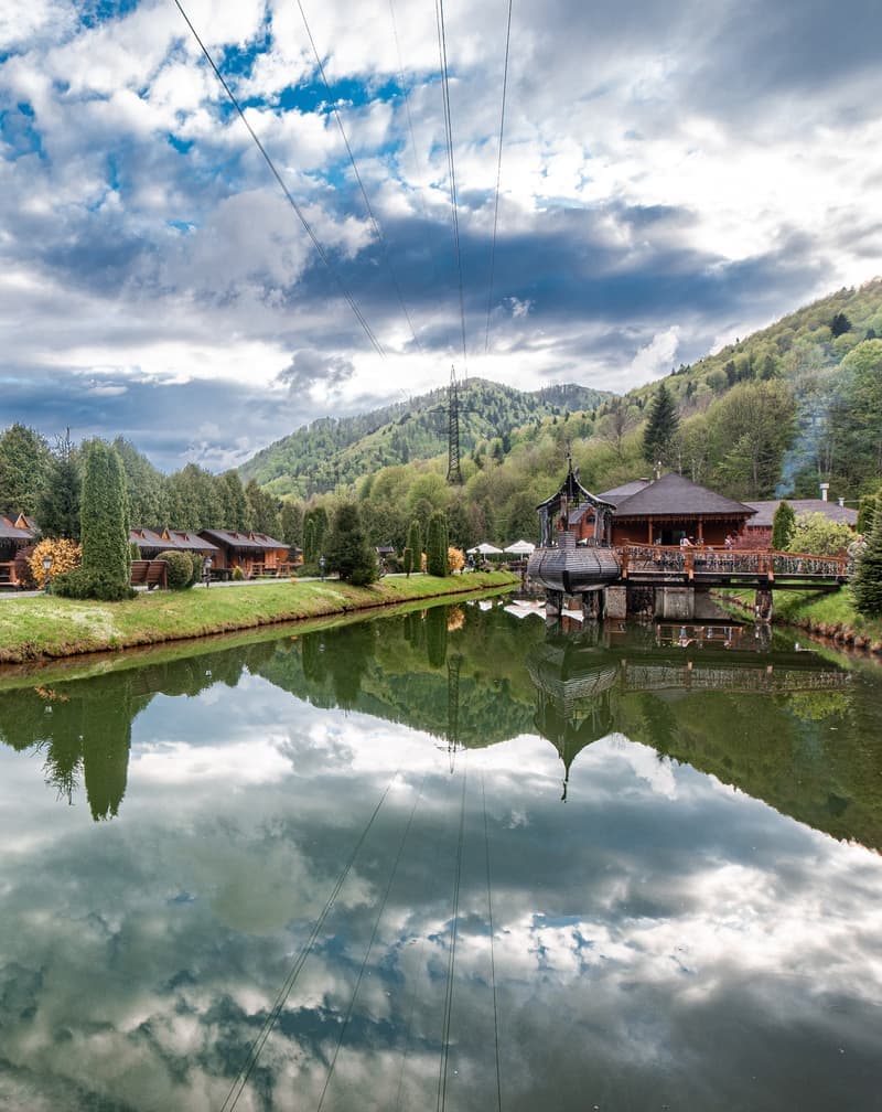 Золота Форель 3