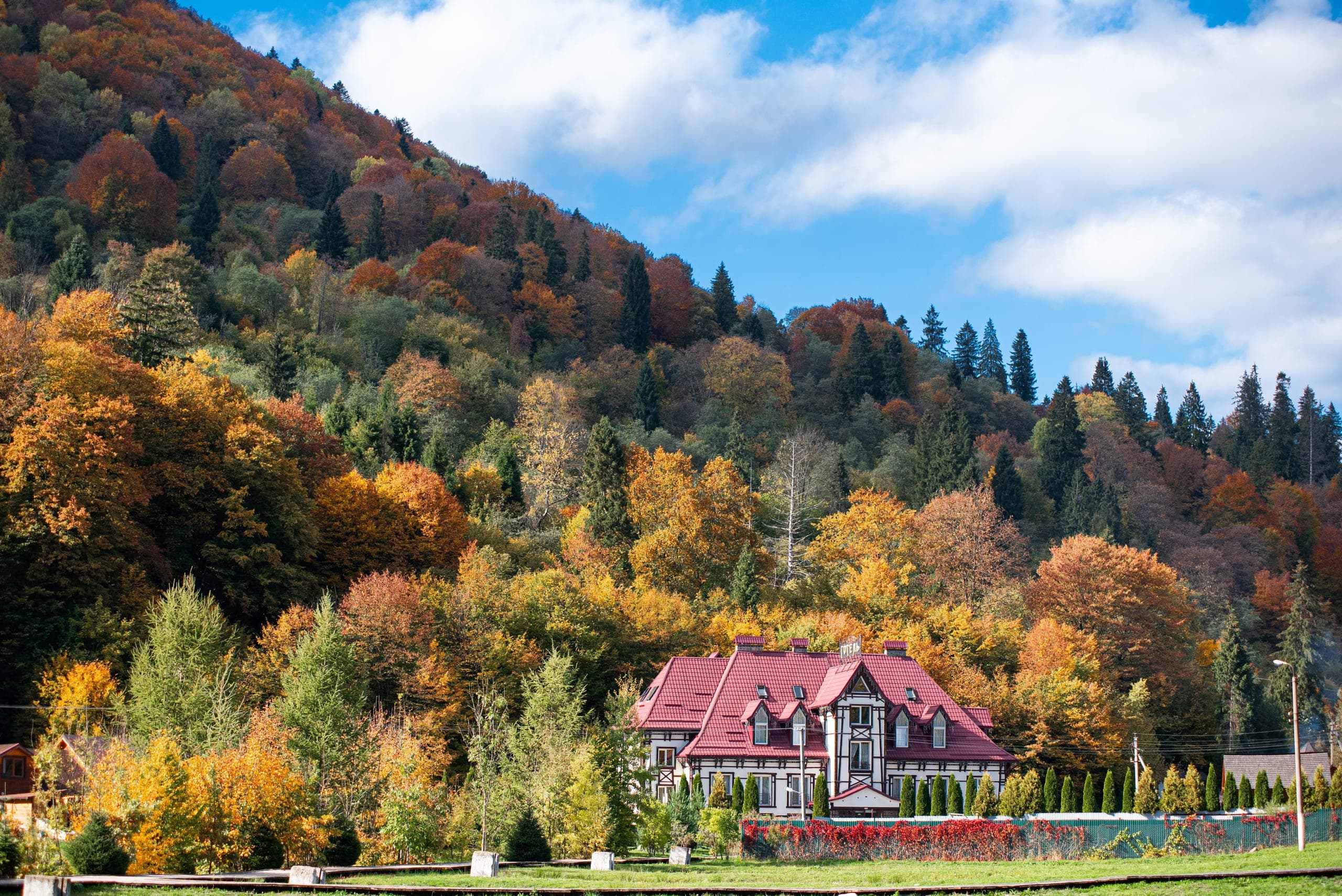 Золота Форель — Про нас