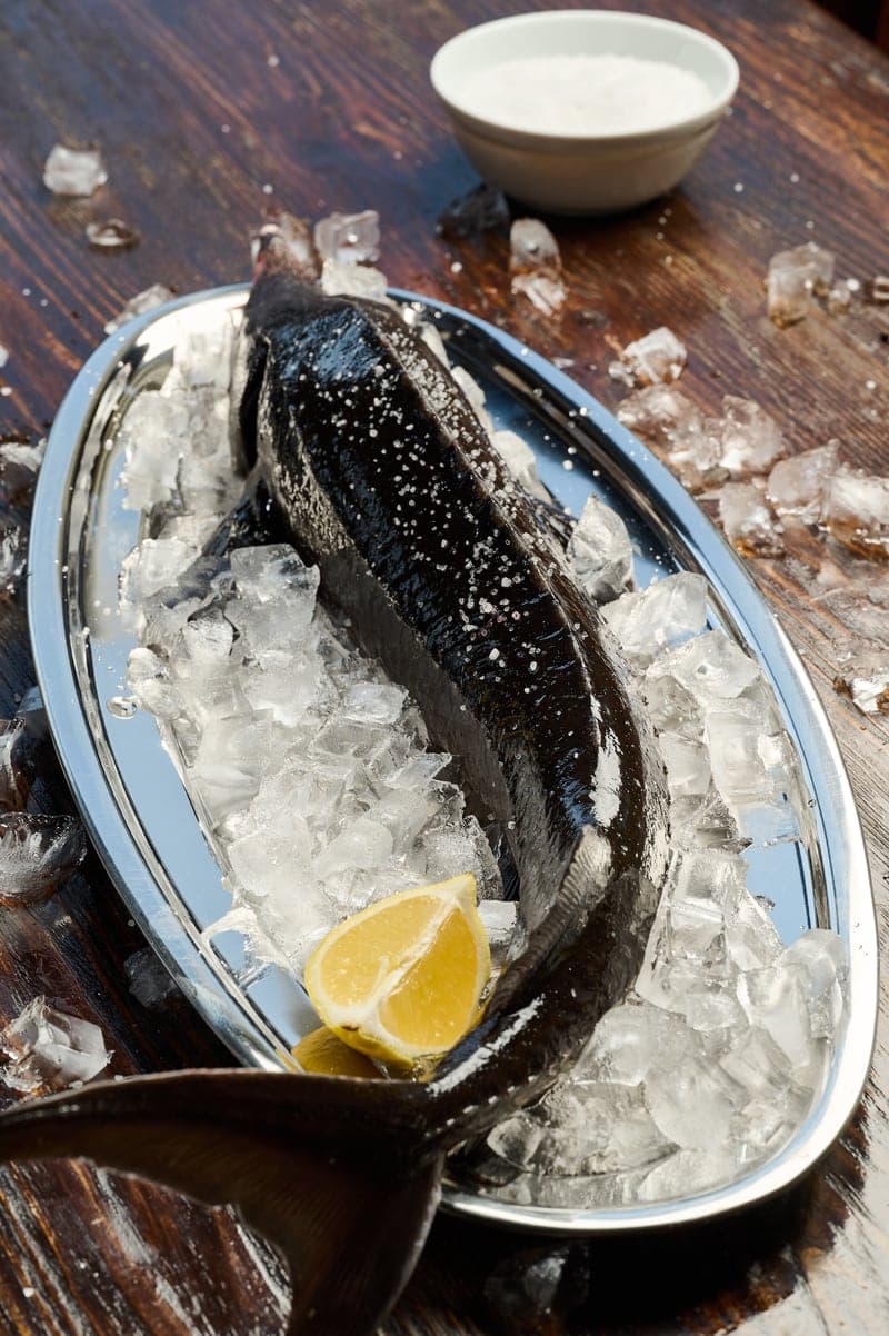 Świeżo złowiony jesiotr, oczyszczony